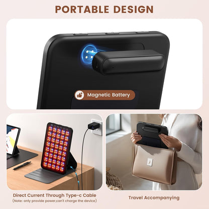 Portable Panel